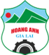 Hoang Anh Gia Lai U19 B 队徽